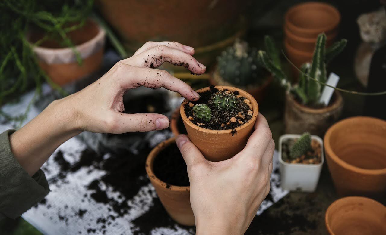 Earth Day & Sustainability Initiatives