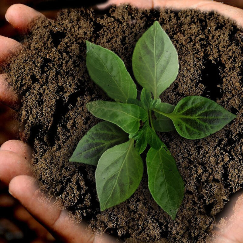 Earth Day &amp; Sustainability Initiatives